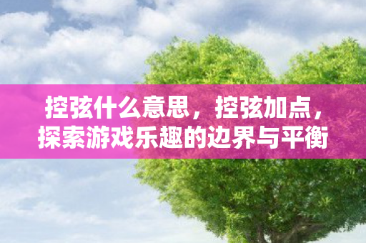 控弦什么意思，控弦加点，探索游戏乐趣的边界与平衡