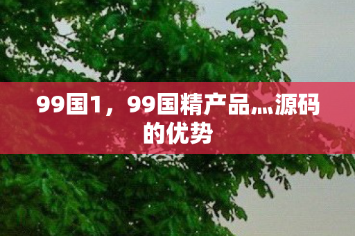 99国1，99国精产品灬源码的优势