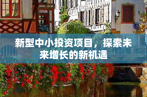 新型中小投资项目，探索未来增长的新机遇