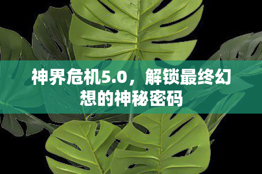 神界危机5.0，解锁最终幻想的神秘密码