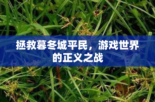 拯救暮冬城平民，游戏世界的正义之战