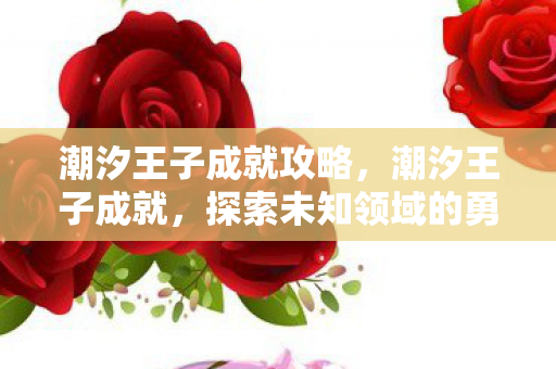 潮汐王子成就攻略，潮汐王子成就，探索未知领域的勇者之旅