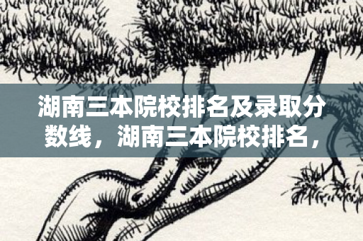 湖南三本院校排名及录取分数线，湖南三本院校排名，优质教育资源的选择指南