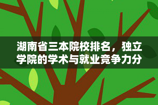 湖南省三本院校排名，独立学院的学术与就业竞争力分析