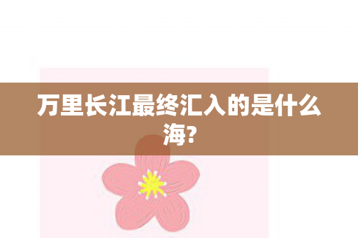万里长江最终汇入的是什么海?