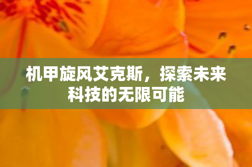 机甲旋风艾克斯，探索未来科技的无限可能