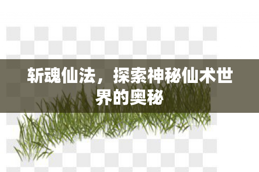斩魂仙法，探索神秘仙术世界的奥秘