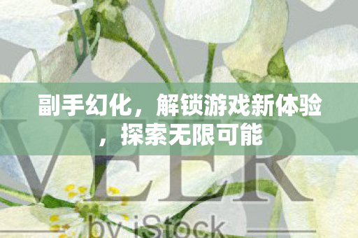 副手幻化，解锁游戏新体验，探索无限可能