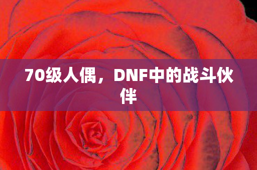 70级人偶，DNF中的战斗伙伴