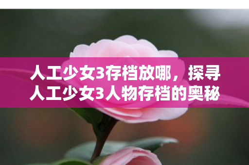 人工少女3存档放哪，探寻人工少女3人物存档的奥秘
