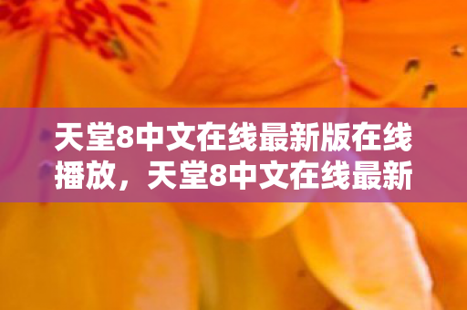天堂8中文在线最新版在线播放，天堂8中文在线最新版，沉浸式阅读体验，开启你的文学之旅
