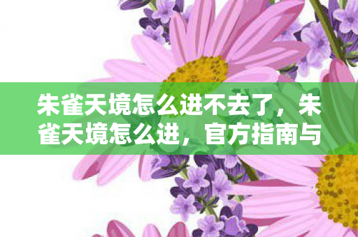 朱雀天境怎么进不去了，朱雀天境怎么进，官方指南与探索之旅