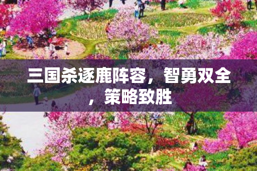 三国杀逐鹿阵容，智勇双全，策略致胜