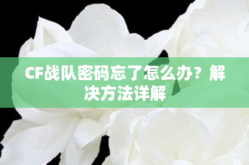 CF战队密码忘了怎么办？解决方法详解