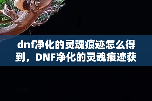 dnf净化的灵魂痕迹怎么得到，DNF净化的灵魂痕迹获取攻略
