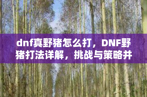 dnf真野猪怎么打，DNF野猪打法详解，挑战与策略并存