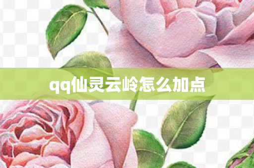 qq仙灵云岭怎么加点