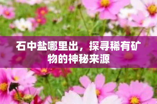 石中盐哪里出，探寻稀有矿物的神秘来源