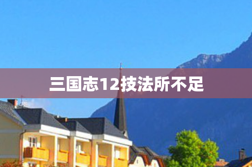 三国志12技法所不足