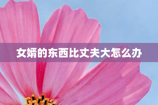 女婿的东西比丈夫大怎么办