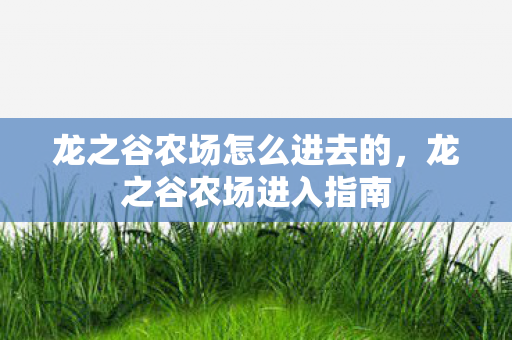 龙之谷农场怎么进去的，龙之谷农场进入指南
