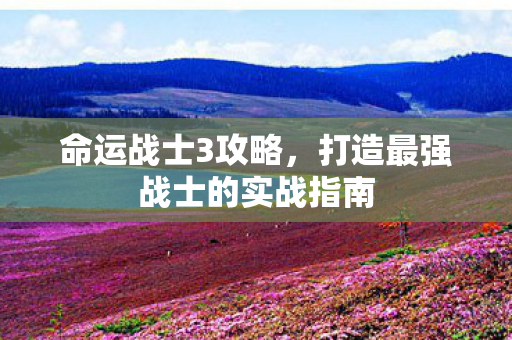 命运战士3攻略，打造最强战士的实战指南