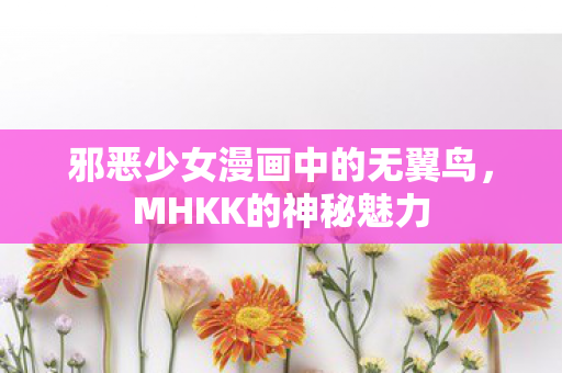 邪恶少女漫画中的无翼鸟，MHKK的神秘魅力