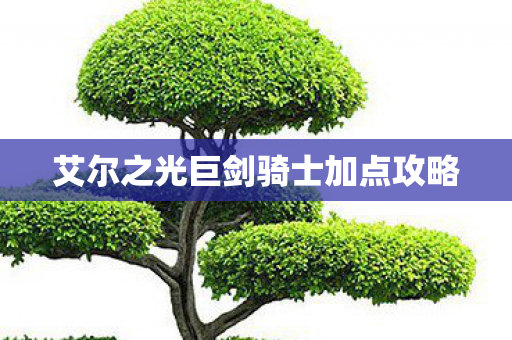 艾尔之光巨剑骑士加点攻略