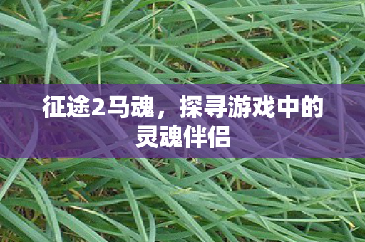征途2马魂，探寻游戏中的灵魂伴侣