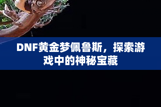 DNF黄金梦佩鲁斯，探索游戏中的神秘宝藏