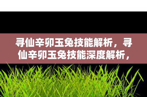 寻仙辛卯玉兔技能解析，寻仙辛卯玉兔技能深度解析，灵动与力量的完美结合