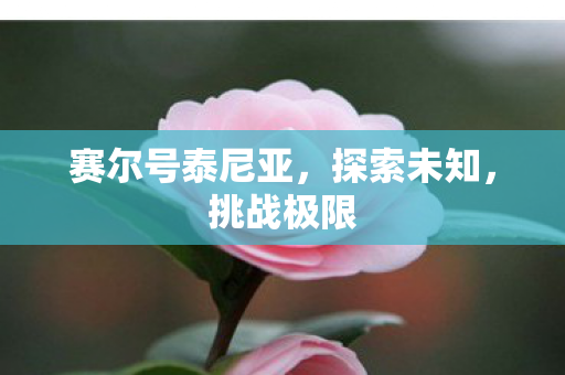 赛尔号泰尼亚，探索未知，挑战极限