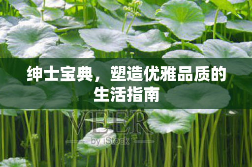 绅士宝典，塑造优雅品质的生活指南