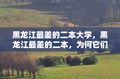 黑龙江最差的二本大学，黑龙江最差的二本，为何它们备受争议？