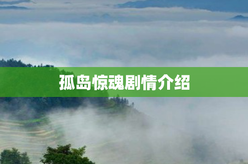 孤岛惊魂剧情介绍