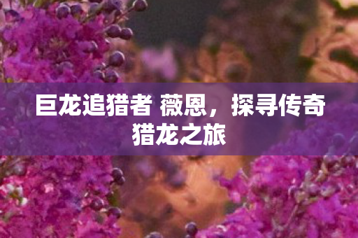 巨龙追猎者 薇恩，探寻传奇猎龙之旅