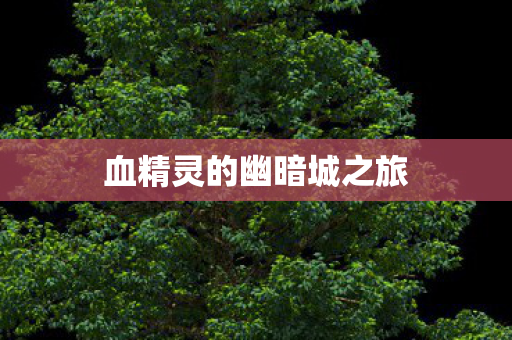 血精灵的幽暗城之旅