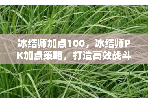 冰结师加点100，冰结师PK加点策略，打造高效战斗力的关键