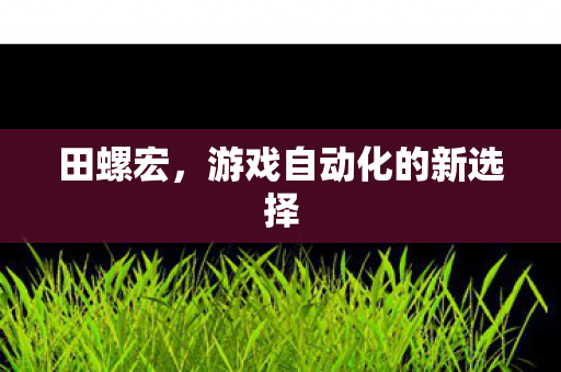田螺宏，游戏自动化的新选择