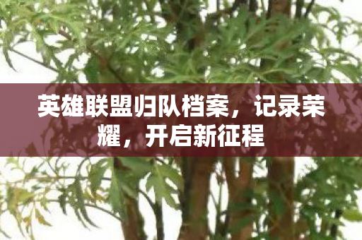 英雄联盟归队档案，记录荣耀，开启新征程