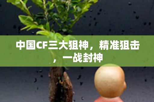 中国CF三大狙神，精准狙击，一战封神