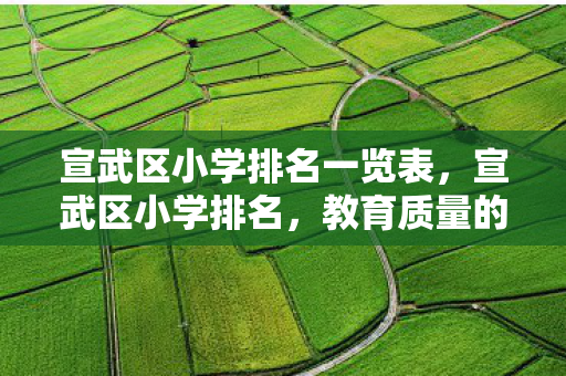 宣武区小学排名一览表，宣武区小学排名，教育质量的衡量与解读