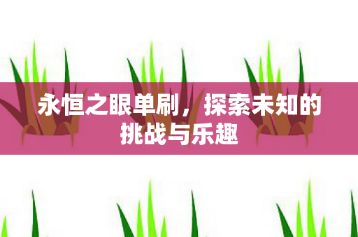 永恒之眼单刷，探索未知的挑战与乐趣