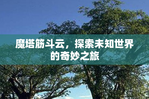 魔塔筋斗云，探索未知世界的奇妙之旅