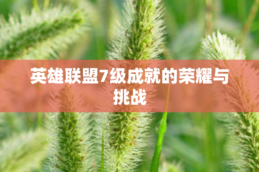 英雄联盟7级成就的荣耀与挑战