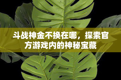 斗战神金不换在哪，探索官方游戏内的神秘宝藏