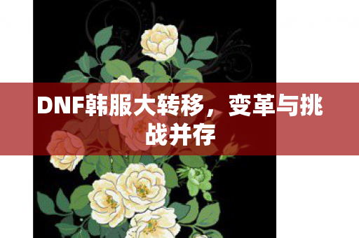 DNF韩服大转移，变革与挑战并存