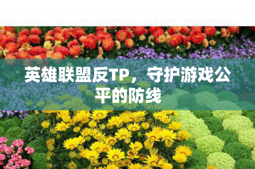 英雄联盟反TP，守护游戏公平的防线