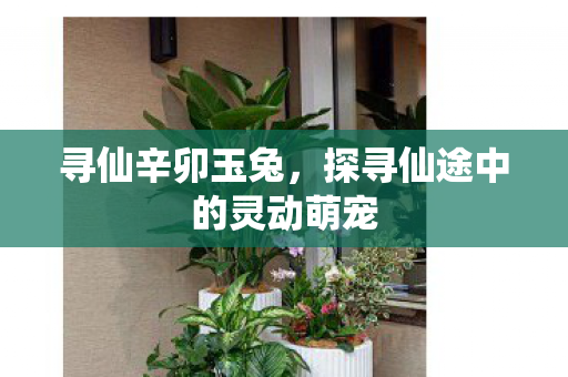 寻仙辛卯玉兔，探寻仙途中的灵动萌宠