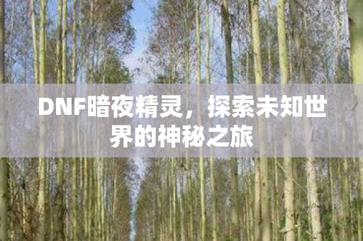 DNF暗夜精灵，探索未知世界的神秘之旅